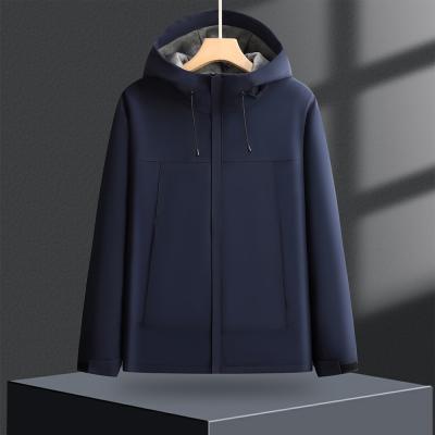 藏青